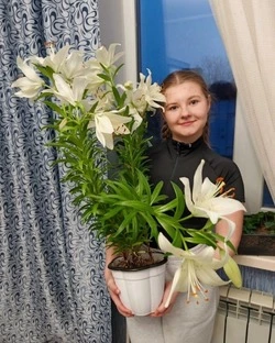 Полина Андреева из Чернянки с мамой Яной поделились с редакцией газеты фото удивительной лилии