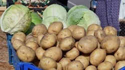 Четыре сельскохозяйственные ярмарки пройдут в Чернянке в апреле