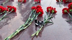 Чернянцы смогут принять участие во всероссийской акции‑конкурсе «Связующая нить»