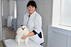 Врач чернянской ветстанции Татьяна Сергеева: «У каждого животного свой характер»