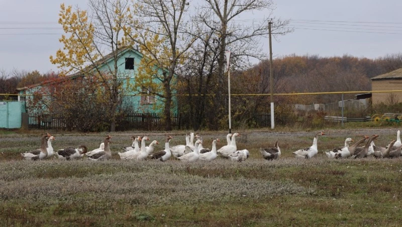 Нина Петращук из Малотроицкого прислала новый рассказ в редакцию