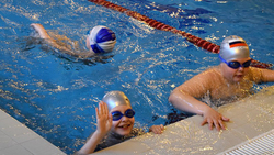 Плавательный сезон начнётся в чернянском бассейне «Дельфин» с 23 сентября*