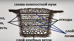 На пользу. Компостирование станет для чернянцев безопасной альтернативой сжиганию листьев