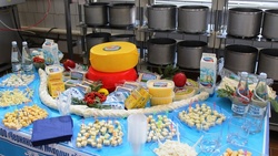 Жюри высоко оценило качество продукции чернянского молочного комбината