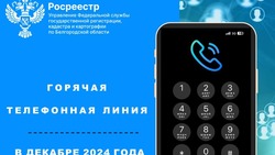 Белгородский Росреестр проведёт горячие телефонные линии в декабре 2024 года