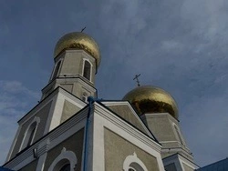 Чтоб Родине свободной быть. Наталья Кузуб из Ольшанки прислала письмо в редакцию газеты