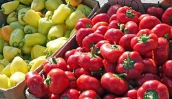 Четыре сельскохозяйственные ярмарки выходного дня пройдут в октябре в Чернянке