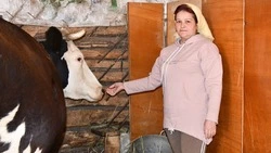 Галина Ченцова из Волково приобрела корову благодаря соцконтракту