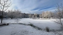 Специалисты МЧС напомнили чернянцам о мерах безопасности во время традиционных Крещенских купаний 