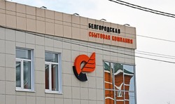 Энергетики предупредили чернянцев о мошеннических уловках в сети Интернет