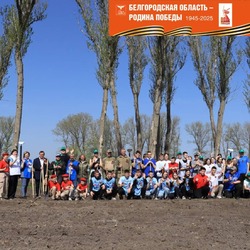 Чернянцы присоединились ко всероссийской патриотической акции «Сирень Победы»