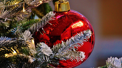 Новогодняя ёлка украсит площадь Чернянки в середине декабря