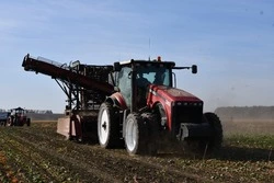 Чернянские аграрии завершают уборку сахарной свёклы