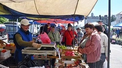 Чернянская ярмарка вновь порадовала жителей и гостей посёлка свежими продуктами