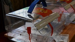 Чернянцы смогут подать заявление для участия в дистанционном голосовании через портал госуслуг