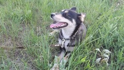 Российские власти ввели новые меры поддержки для людей с ограниченными возможностями