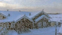 Чернянские художники получили возможность создать эскиз для новогодней почтовой продукции