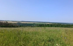 Постановление администрации Чернянского района  от 28.08.2025 г. №485