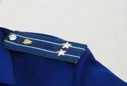 Реестр лиц, уволенных в связи с утратой доверия, действует в РФ