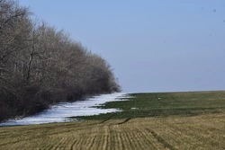 Власти округа напомнили чернянцам об ответственности при выявлении на их участках эрозии почв