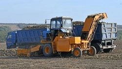 Аграрии акционерного общества «Орлик» успешно подошли к завершению кампании по уборке свёклы