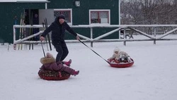 Чернянцы смогут принять участие в фестивале зимнего туризма