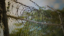 Суд приговорил жителя Чернянского района к одному году лишения свободы