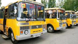 Белгородские власти заменят 250 школьных автобусов