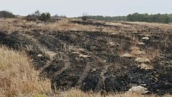 Чернянские спасатели призвали жителей отказаться от пала травы 