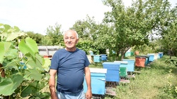 Второе призвание. Виктор Ковалёв из Холок более 25 лет назад увлёкся пчеловодством