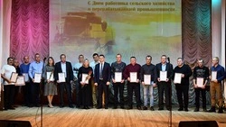 Лучшие чернянские аграрии получили благодарности и почётные грамоты в награду за свой нелёгкий труд