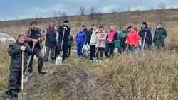Чернянцы стали участниками октябрьской акции «Сохраним лес»