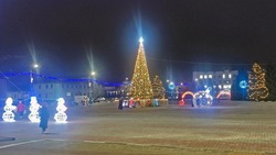 Врач Чернянской ЦРБ Ирина Винникова дала советы о правильной подготовке к новогодней ночи
