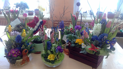 Сотрудники районной станции юннатов организовали выставку-конкурс выгоночных растений