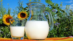 Роспотребнадзор разъяснил чернянцам особенности новых правил продажи молочной продукции