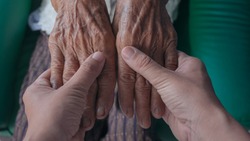 Чернянские соцработники создали систему долговременного ухода за пожилыми гражданами