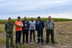 Кормозаготовители хозяйства «Орлик» приступили к заготовке кукурузы на силос