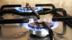 Газовики обнаружили 90 незаконных подключений к системе снабжения в Белгородской области