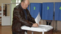 Чернянский избирком проинформировал об условиях на участках для голосования