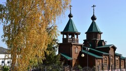 Жители Малотроицкого Чернянского района высадили более 100 берёз у местного храма