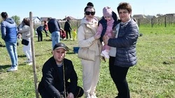 Чернянцы высадили 118 деревьев в честь своих малышей на Аллее новорождённых