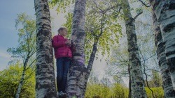 Юные чернянцы смогут принять участие во всероссийском заочном смотре-конкурсе школьных лесничеств
