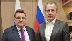 Вячеслав Гладков обсудил с министром юстиции РФ защиту интересов жителей Белгородской области