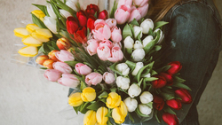 Ярмарка цветов пройдёт в Чернянке в праздник Международного женского дня