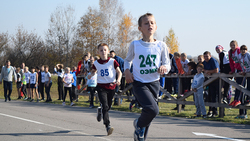 Бег как образ жизни. 526 спортсменов приняли участие в чернянском кроссе «Золотая осень»