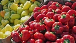 Чернянская сельскохозяйственная ярмарка вновь порадует земляков изобилием товаров 13 сентября