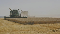 Чернянские аграрии продолжили уборку урожая зерновых и зернобобовых культур