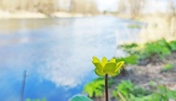 Клавдия Казанова из Раевки поделилась с читателями старинной легендой