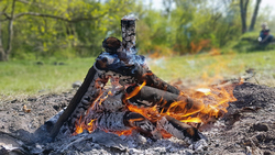 Дмитрий Клименко призвал чернянцев соблюдать правила пожарной безопасности в лесах