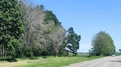 Власти муниципалитета выставили на торги три земельных участка